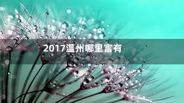 2017温州哪里富有