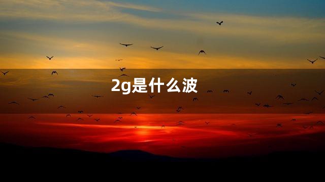 2g是什么波