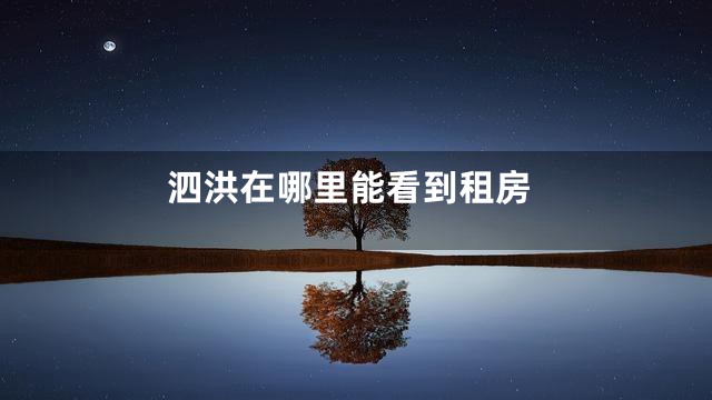 泗洪在哪里能看到租房