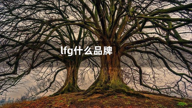 lfg什么品牌