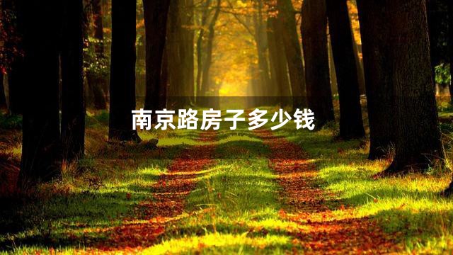 南京路房子多少钱