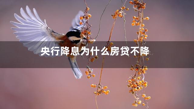 央行降息为什么房贷不降