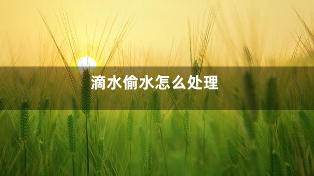 滴水偷水怎么处理