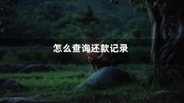怎么查询还款记录