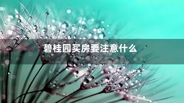 碧桂园买房要注意什么