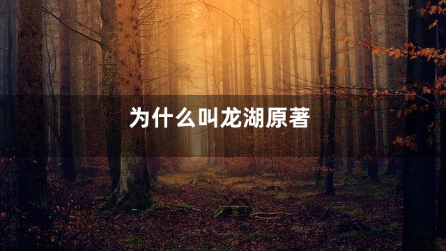 为什么叫龙湖原著