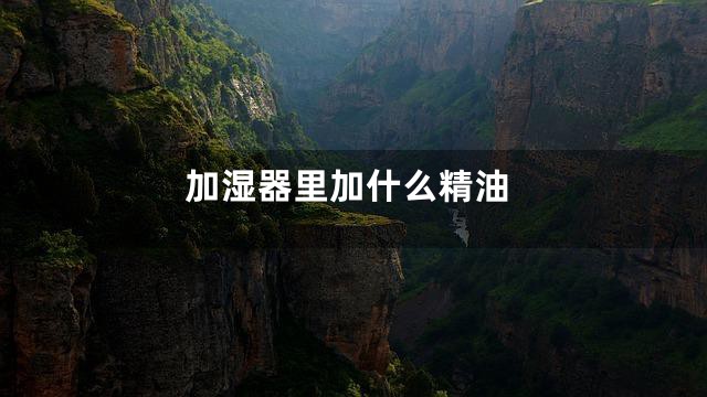 加湿器里加什么精油