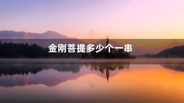 金刚菩提多少个一串