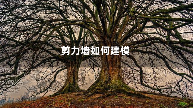 剪力墙如何建模