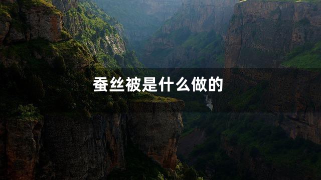 蚕丝被是什么做的