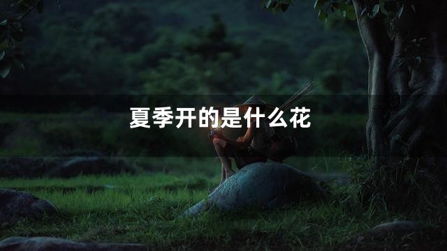 夏季开的是什么花
