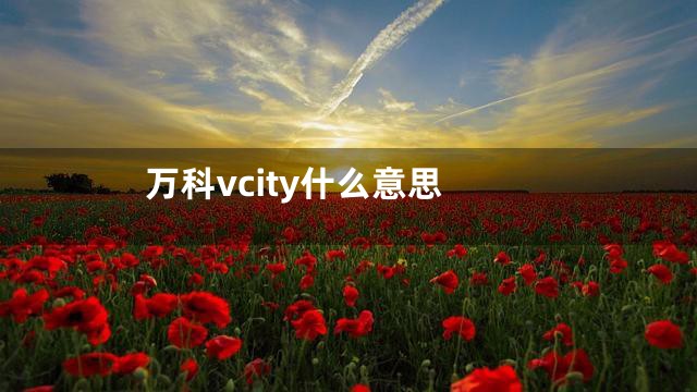 万科vcity什么意思