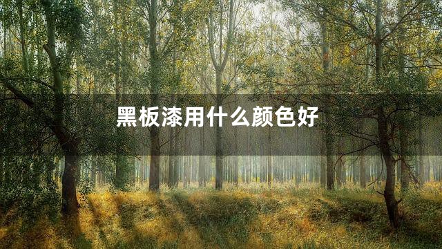 黑板漆用什么颜色好