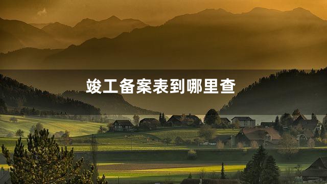 竣工备案表到哪里查