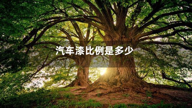 汽车漆比例是多少