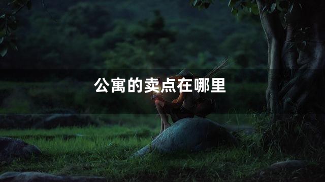 公寓的卖点在哪里