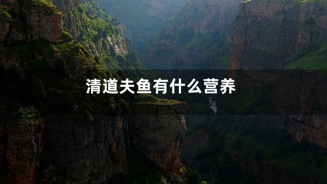 清道夫鱼有什么营养