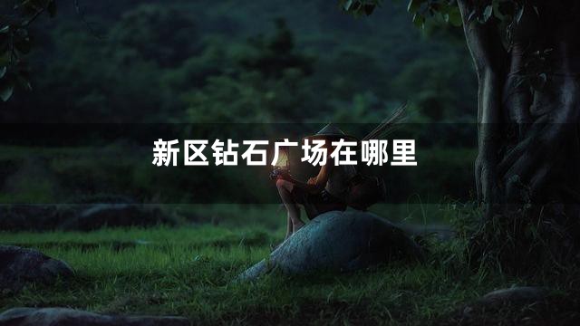 新区钻石广场在哪里