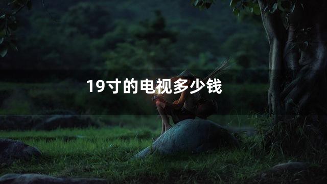19寸的电视多少钱