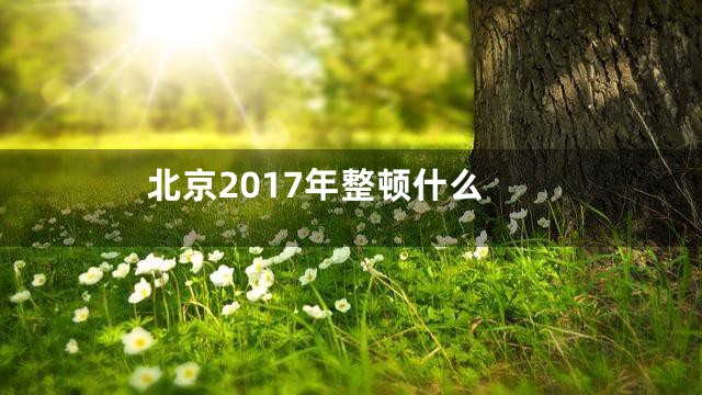 北京2017年整顿什么