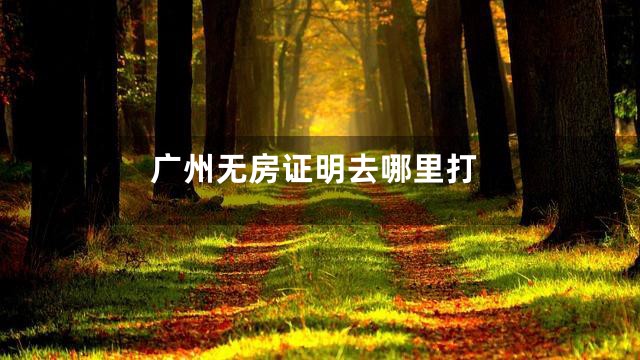 广州无房证明去哪里打