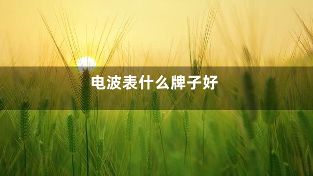 电波表什么牌子好