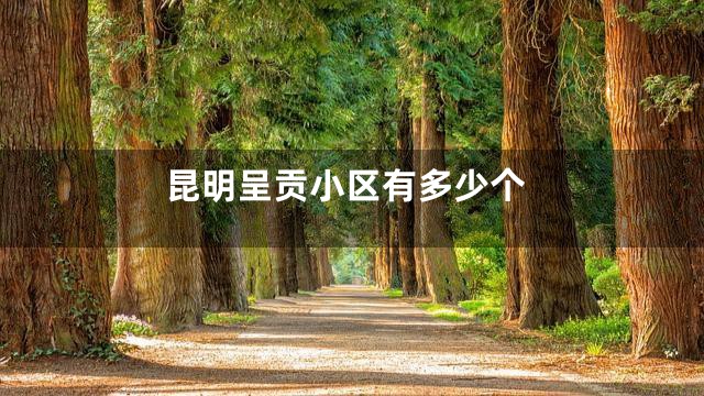 昆明呈贡小区有多少个