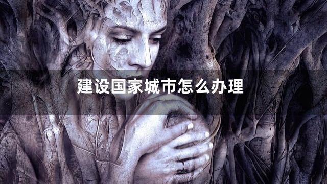 建设国家城市怎么办理