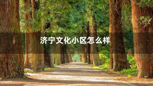 济宁文化小区怎么样