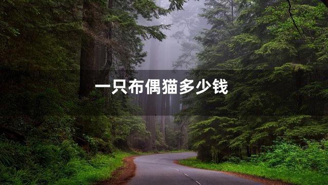 一只布偶猫多少钱