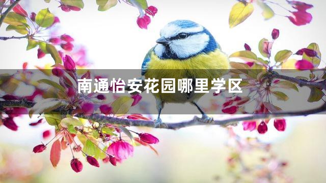 南通怡安花园哪里学区