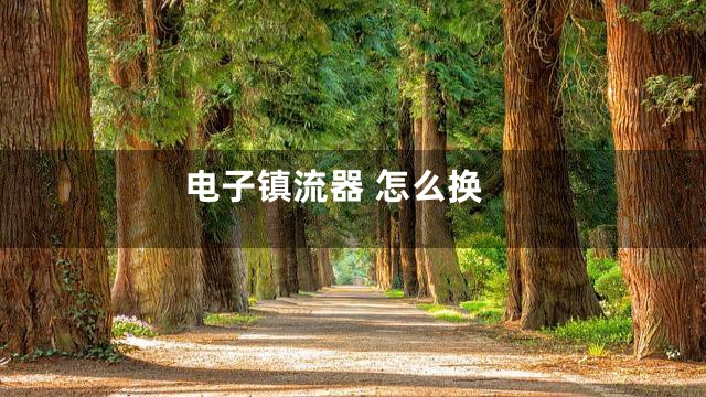 电子镇流器 怎么换