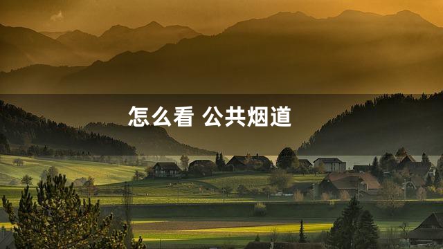 怎么看 公共烟道