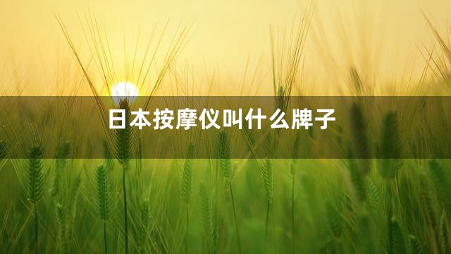 日本按摩仪叫什么牌子