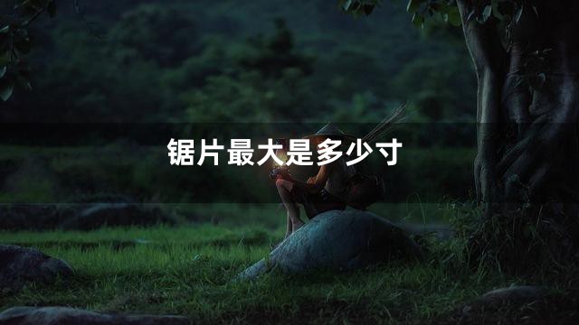 锯片最大是多少寸