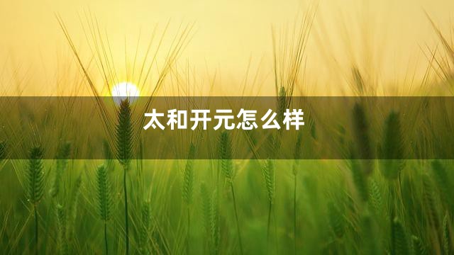 太和开元怎么样