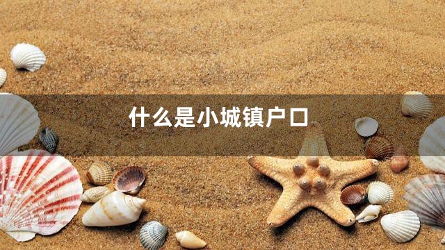 什么是小城镇户口