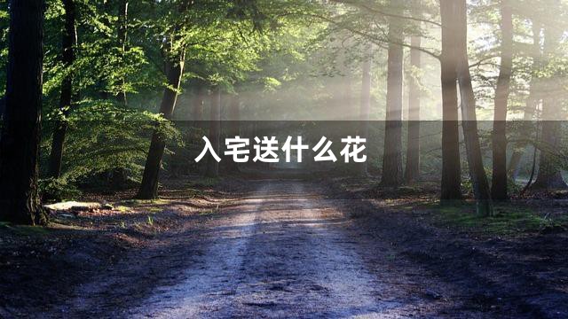 入宅送什么花