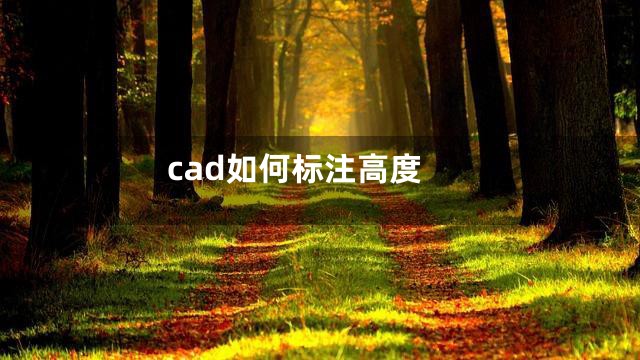 cad如何标注高度