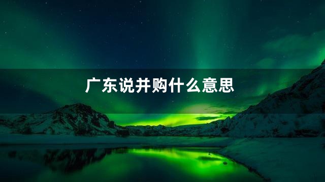 广东说并购什么意思