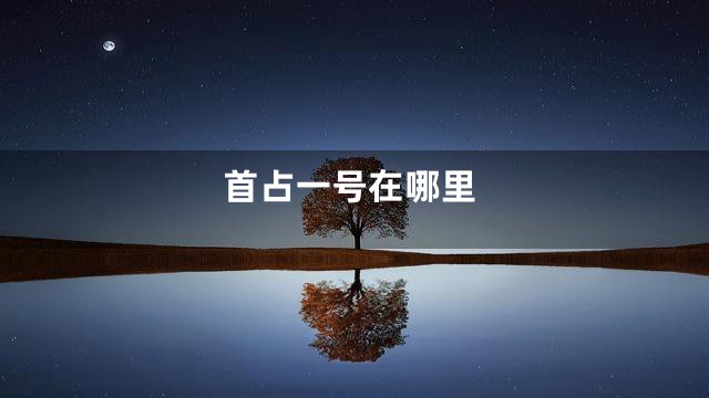 首占一号在哪里