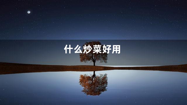什么炒菜好用