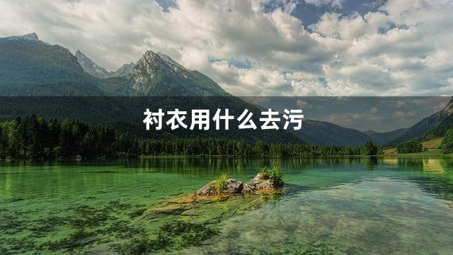 衬衣用什么去污