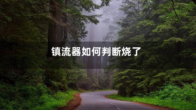 镇流器如何判断烧了