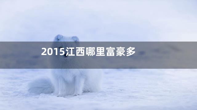 2015江西哪里富豪多