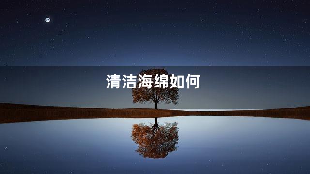 清洁海绵如何