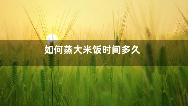 如何蒸大米饭时间多久