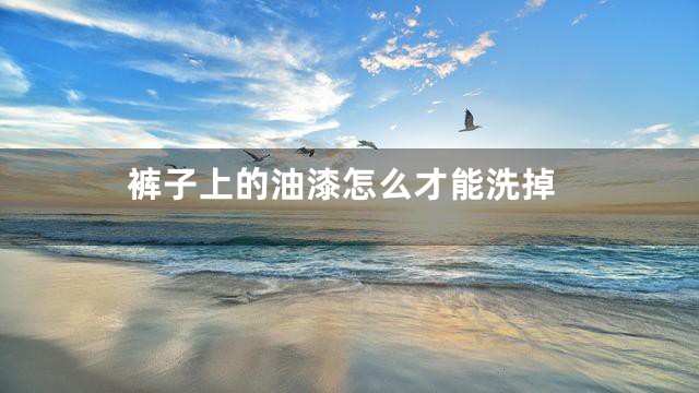 裤子上的油漆怎么才能洗掉