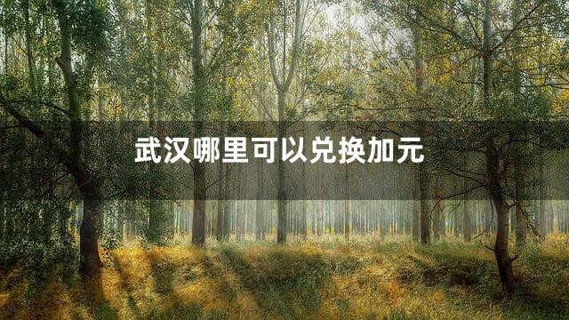 武汉哪里可以兑换加元