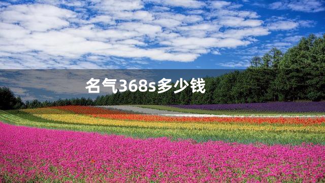 名气368s多少钱